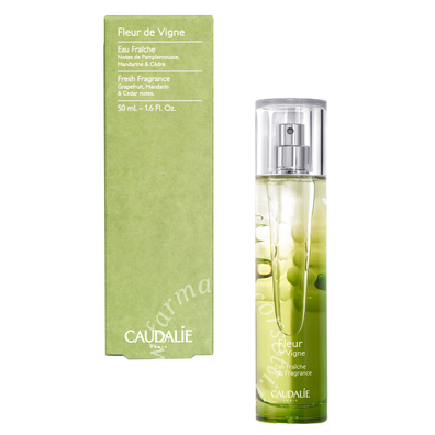 Fleur de vigne acqua fresca 50 ml 2022