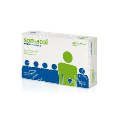 Somacol Int Diet 20Cps
