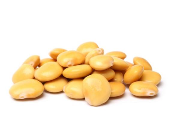 UNO SNACK AMICO DELLA GLICEMIA, IL LUPINO