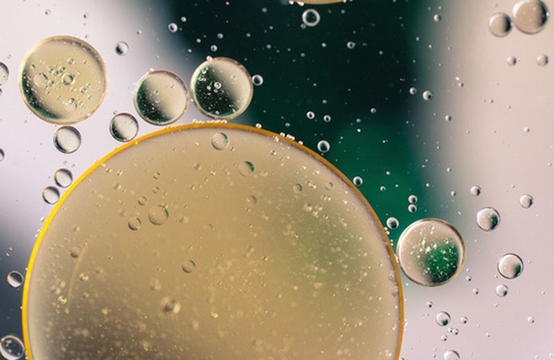 Come sono fatte le creme per il viso