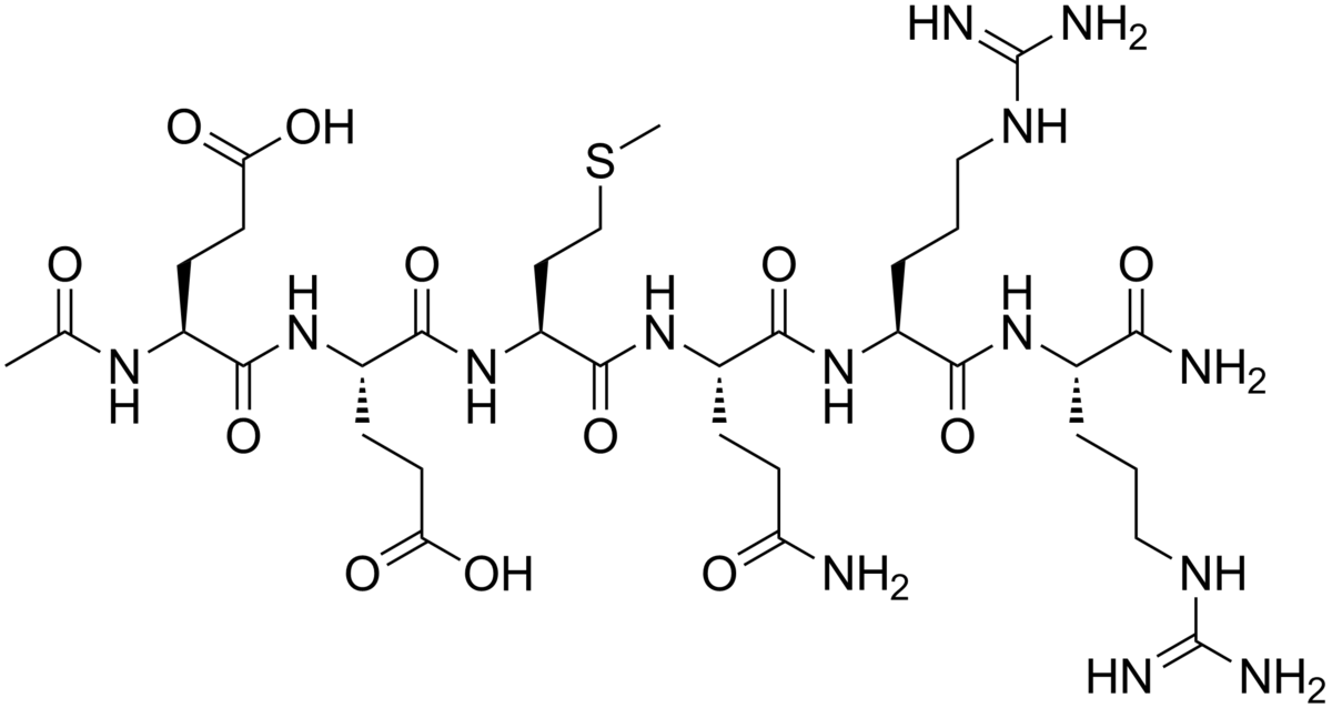 Argireline: un innovativo peptide.