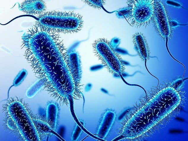 Microbiota cutaneo: il miglior amico della pelle