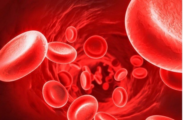 L'ANALISI DELL'EMOCROMO COMPLETO ARRIVA IN FARMACIA